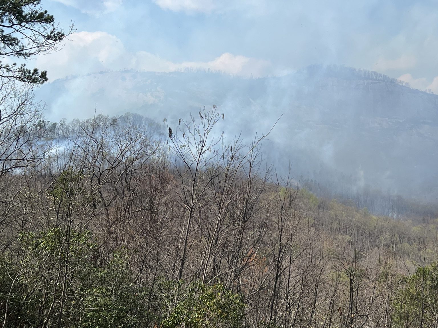 Smoke rises from a forested mountainside, partially obscuring the view. Leafless trees and sparse green foliage are visible in the foreground, with hazy peaks and a cloudy sky in the background.